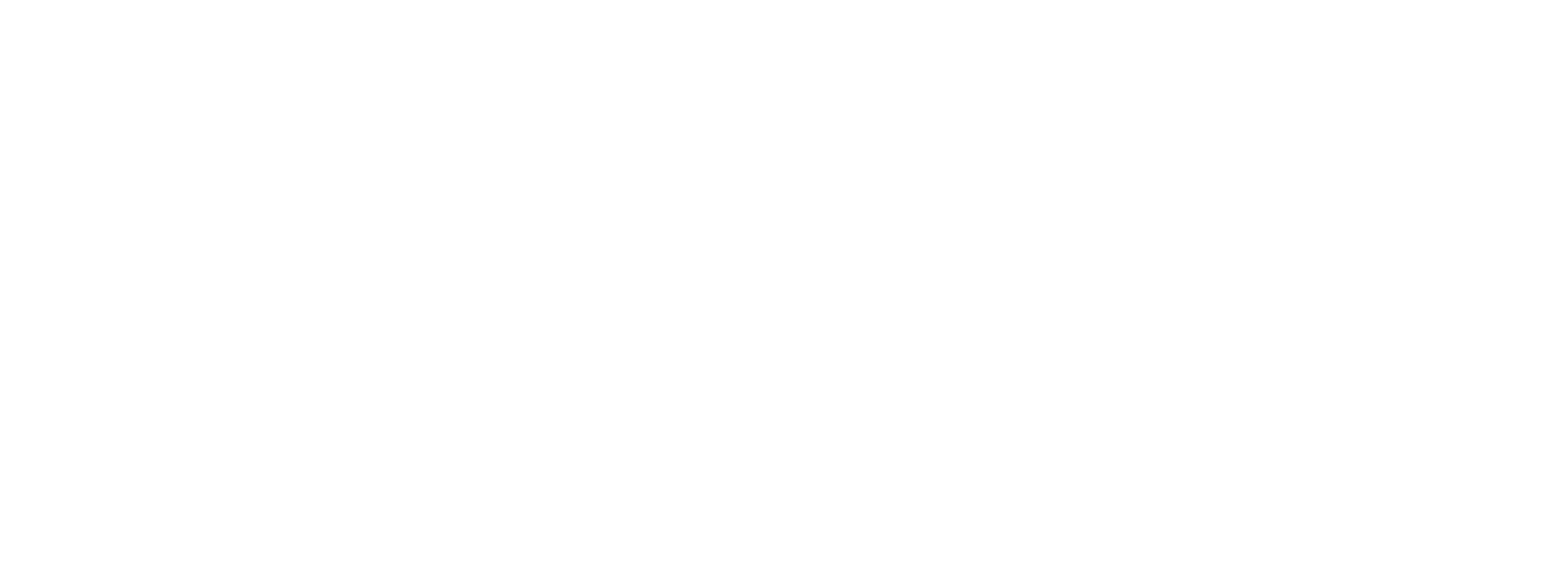 Seenaptic-logoblanc