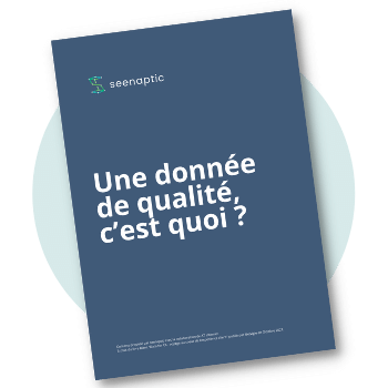 miniature-guide-une-data-de-qualite-cest-quoi (1)